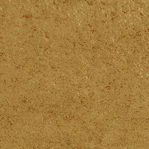 Life Dijon J93843 – carreaux briques émaillés