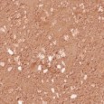 Ceramica Rondine Mixture Terrazzo