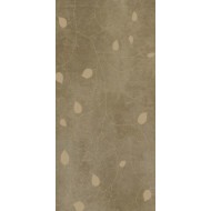 Concrete Beige Buds 60x120