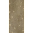 Concrete Beige Buds 60x120