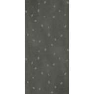GIGACER Concrete 60x120