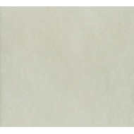 Dintorni verde chiaro, 20,5x20,5 cm