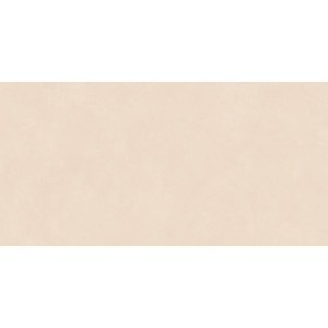 Insideart Color 60x120