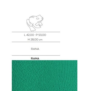 Rana Turchese CerasaRDA Rana56 | Animali d'arredo