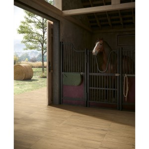 Bark Walnut Saw Cut 30x120