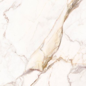 ROYAL WHITE SMOOTH SQ 120x278