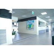 SQ.GREY CALM Vorgeschliffen   30X60 FMG PS63201 FMG IRIS - 1