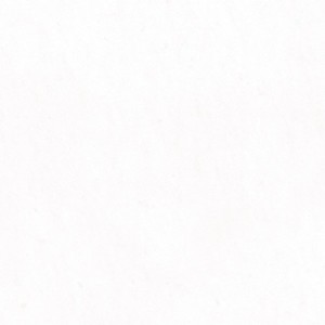MARMOKER BIANCO VIETNAM LUCIDO 44 x 88 Casalgrande Padana 10690201 CASALGRANDE PADANA - 1