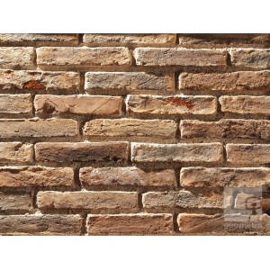 PADANO Ziegel Geopietra Ziegel 25X5.5cm Blatt