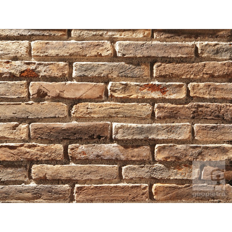 PADANO Mattone da Rivestimento Geopietra Listello da 25X5.5cm GEOPIETRA - 5