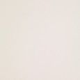 ICON WHITE 12 60x120 Weiss  60x120 Natural  Glatt Matt    Einkaliber- LEONARDO LEONARDO CERAMICA - 1