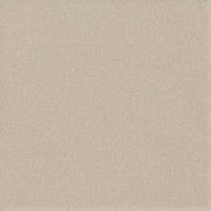 ICON ALMOND 12L 60x120 ALMOND 60x120 Polished Smooth    One Caliber- LEONARDO LEONARDO CERAMICA - 1