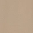 ICON BEIGE 60 60x60 BEIGE 60x60 Natural  Glatt Matt    Einkaliber- LEONARDO LEONARDO CERAMICA - 1
