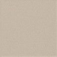 ICON ALMOND 60L 60x60 ALMOND 60x60 Levigato Liscio Lucido   Monocalibro - LEONARDO LEONARDO CERAMICA - 1