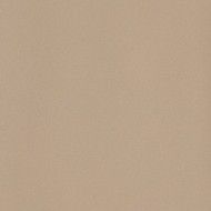 ICON BEIGE 36 30x60 BEIGE 30x60 Natural  Glatt Matt    Einkaliber- LEONARDO LEONARDO CERAMICA - 1