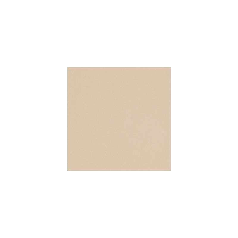 ICON ALMOND 120 120x120 ALMOND 120x120 Naturel Lisse Matt    Un Calibre - LEONARDO