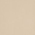 ICON ALMOND 12 60x120 ALMOND 60x120 Naturale Liscio Opaco   Monocalibro - LEONARDO
