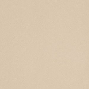 ICON ALMOND 60 60x60 ALMOND 60x60 Naturel Lisse Matt    Un Calibre - LEONARDO