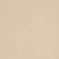 ICON ALMOND 60 60x60 ALMOND 60x60 Naturale Liscio Opaco   Monocalibro - LEONARDO